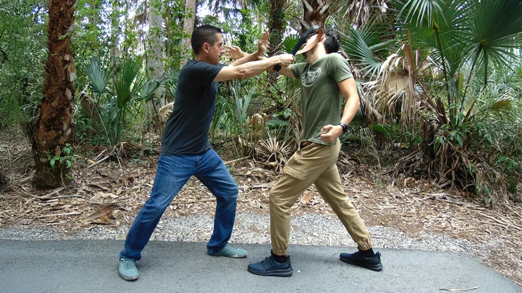 You can use it as a simple whip.