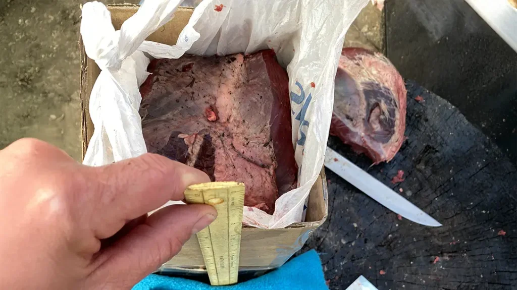 .380 ACP Meat Test: The author created a flesh test target by layering heavy slabs of deer meat to a thickness of 8 inches, an approximation of the thickness of the average man&rsquo;s body front to back.